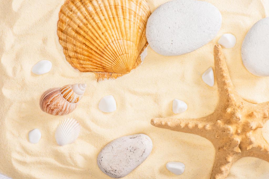 Draufsicht auf Seesterne, Kieselsteine und Muscheln auf Sand  - Foto, Bild