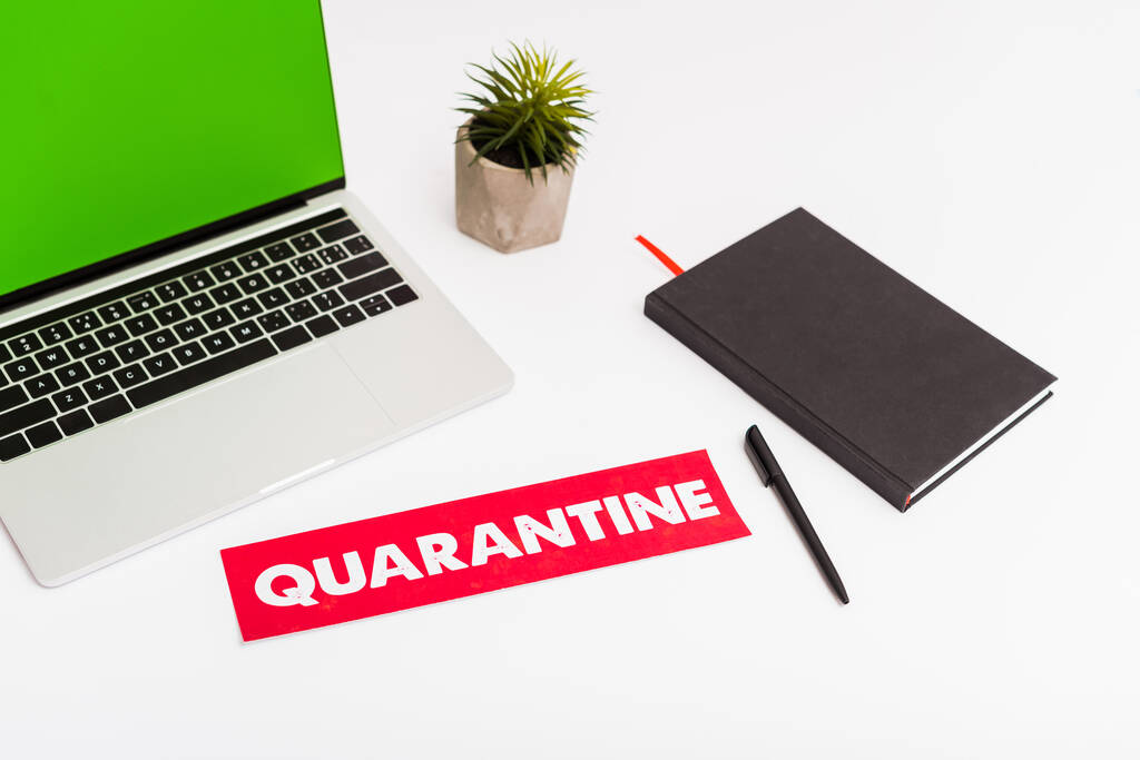 laptop with green screen near plant, notebook, pen and paper with quarantine lettering isolated on white  - Photo, Image