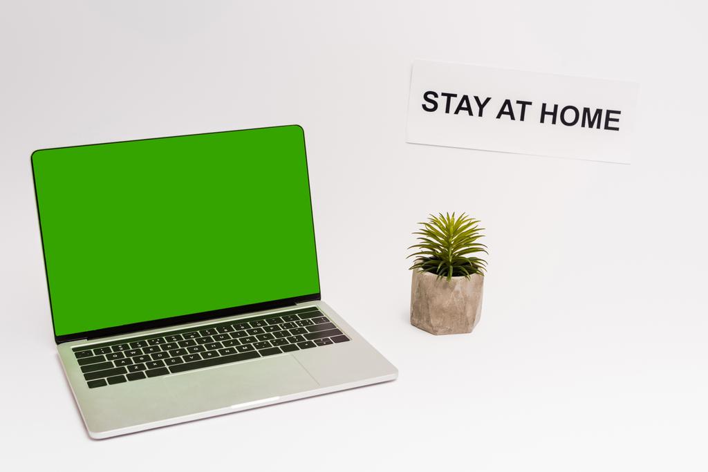 portátil con pantalla verde cerca de la planta y el papel con la estancia en casa de letras en blanco
  - Foto, imagen