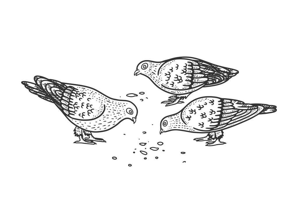 palomas picotean semillas en la ilustración de vectores de grabado de bocetos. Diseño de estampado de ropa de camiseta. Scratch board imitación. Imagen dibujada a mano en blanco y negro
. - Vector, Imagen