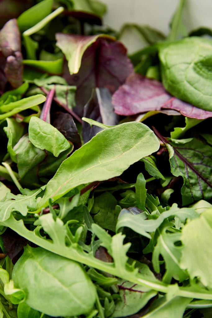 Селективный фокус зеленых и зеленых листьев салата
 - Фото, изображение