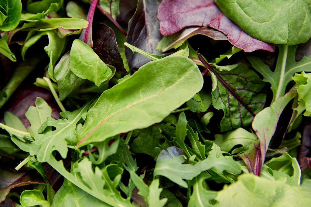 Vue de dessus de différents types de verdure et de feuilles de salade vertes
 - Photo, image
