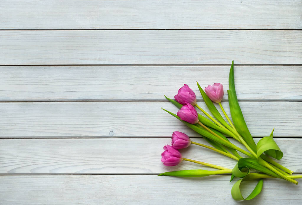 Rekreační jarní pozadí. Barevné tulipánové květy na bílém dřevěném pozadí. Pozdrav s kopírkou na Valentýna, Den žen a Den matek. Horní pohled. - Fotografie, Obrázek