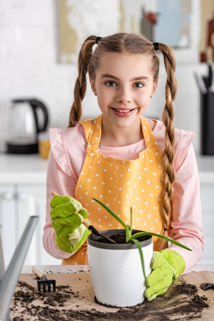 Vista frontal de un niño lindo con pala y maceta con aloe cerca de la mesa con suelo en la cocina
 - Foto, Imagen