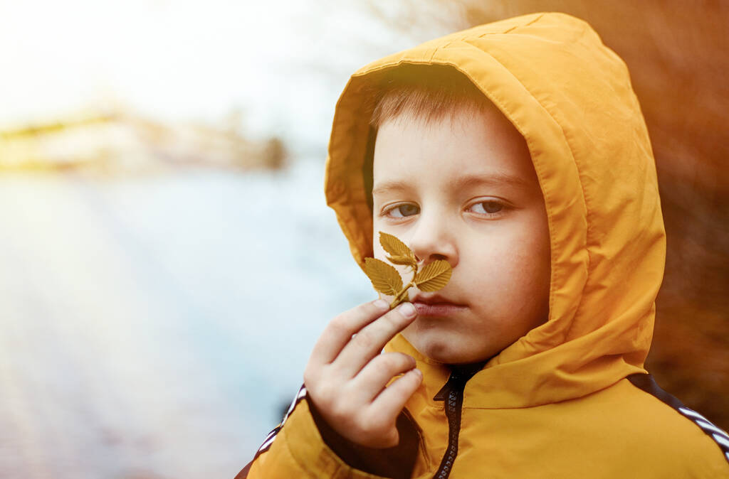 Маленький мальчик нюхает лист
. - Фото, изображение