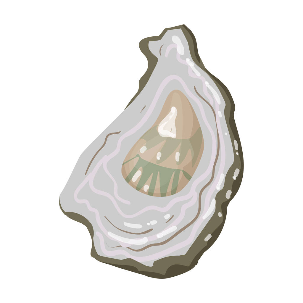 Austernvektor icon.cartoon Vektor-Symbol isoliert auf weißem Hintergrund Auster. - Vektor, Bild
