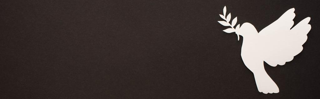 vue de dessus de colombe de papier blanc coupé sur fond noir, vue panoramique
 - Photo, image