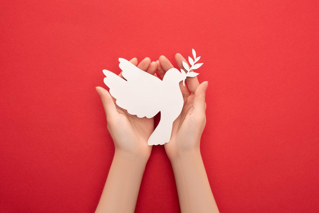 vista cortada da mulher segurando pomba branca como símbolo de paz nas mãos no fundo vermelho
 - Foto, Imagem