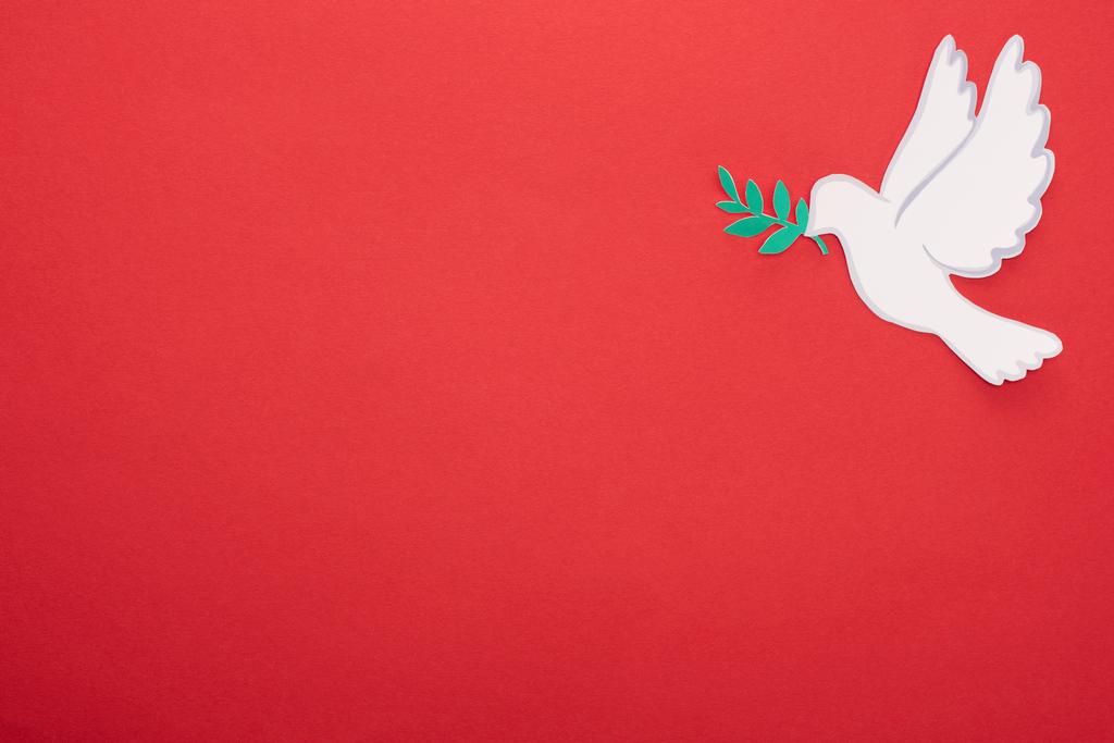 κορυφή άποψη του λευκού περιστέρι ως σύμβολο της ειρήνης στο κόκκινο φόντο - Φωτογραφία, εικόνα