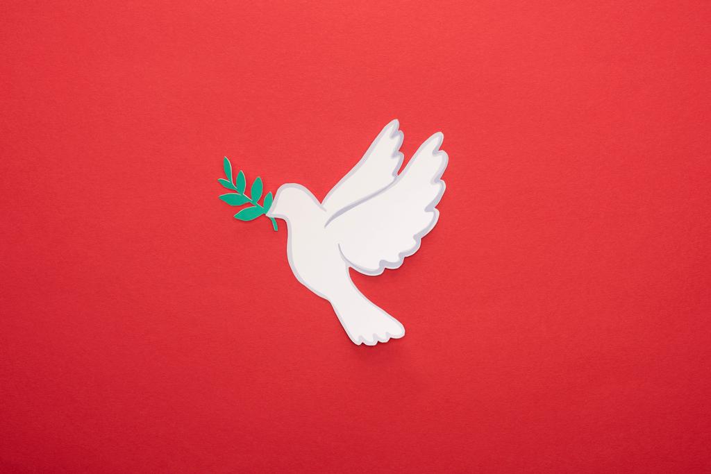 top view of white dove as symbol of peace on red background - Photo, Image