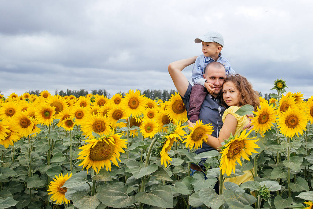A young family of 3 people walking in a field of sunflowers. Rural area, Russia. - Photo, Image
