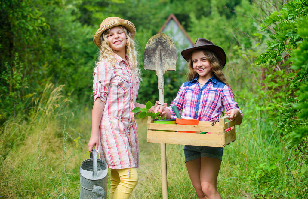 Summer at countryside. Gardens great place cultivate meaningful and fun learning experience for children. Kids girls with tools for gardening. Gardening basics. Gardening teaching life cycle process - Photo, Image