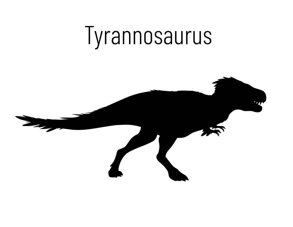 Tyranosaurus. Theropoda dinosaurus. Monochromatický vektor znázorňující siluetu pravěkého tvora tyrannosaura izolovaného na bílém pozadí. Vzorník. Fosilní dinosaurus. T-Rex. - Vektor, obrázek