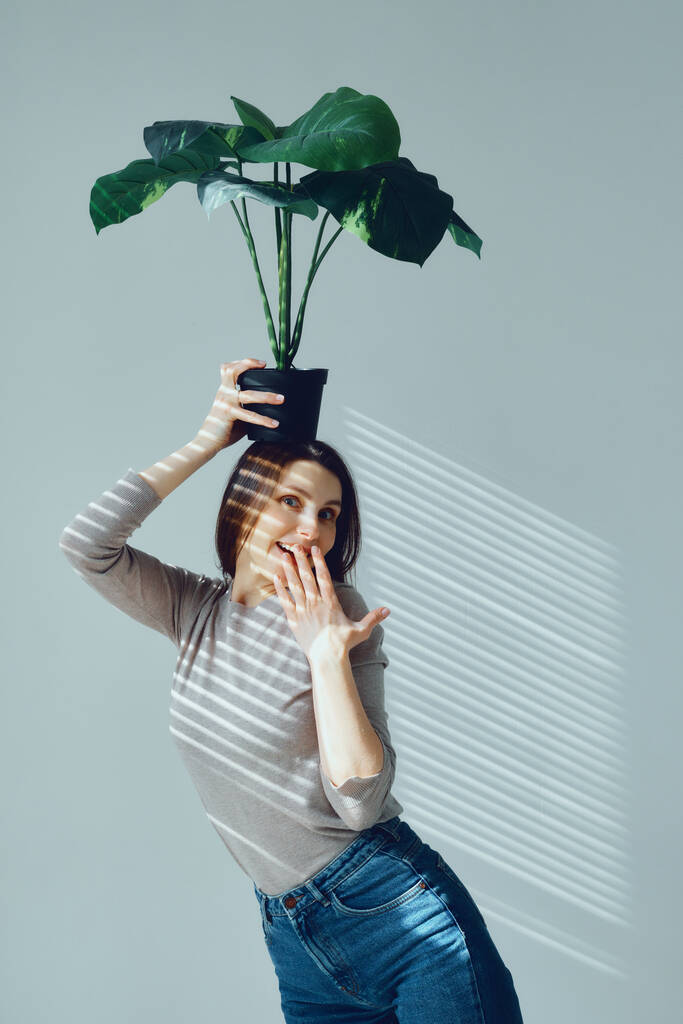 портрет положительной молодой девушки с горшком цветов в руках над головой
 - Фото, изображение