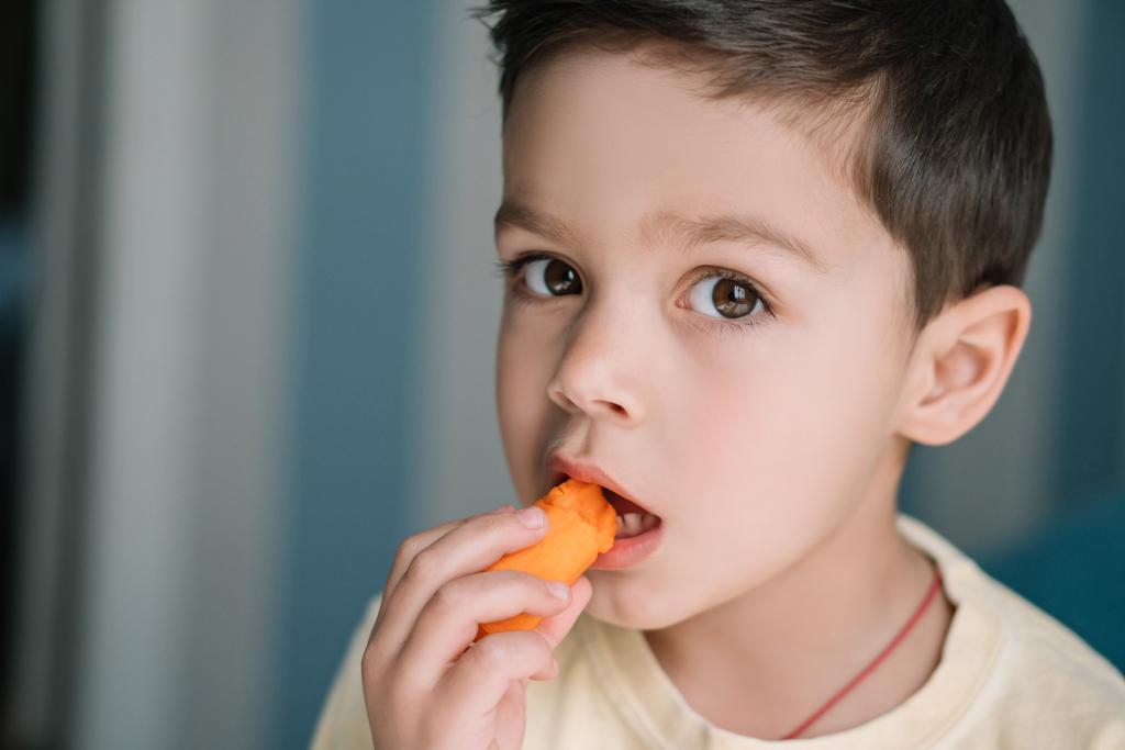 cute child eating fresh carrot and looking at camera - Photo, Image