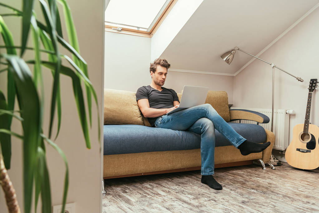 selective focus of handsome man using laptop while sitting on sofa in attic room - Photo, Image