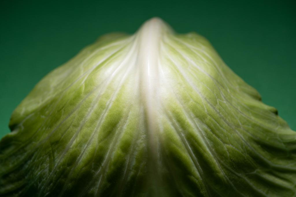 крупный план свежего листа капусты на зеленом фоне
 - Фото, изображение