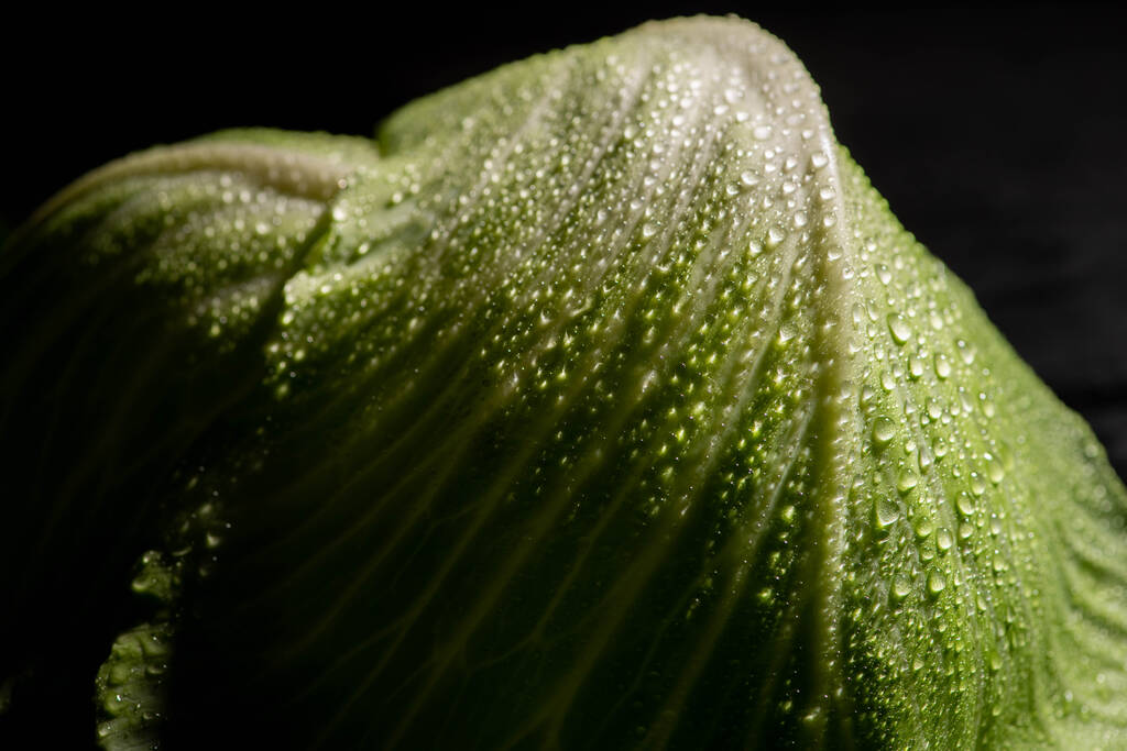 vue rapprochée des feuilles humides de chou frais isolées sur noir
 - Photo, image