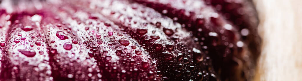 close-up zicht op nat gesneden ui met waterdruppels, panoramisch gewas - Foto, afbeelding