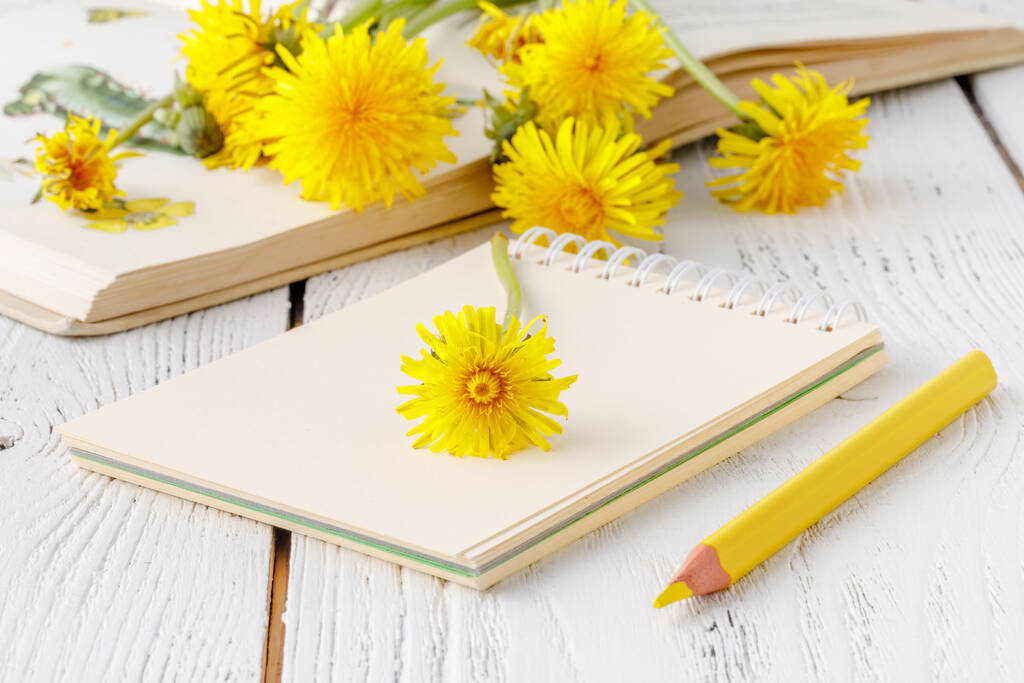 Pampeliška sbírka květin s notebookem - Fotografie, Obrázek