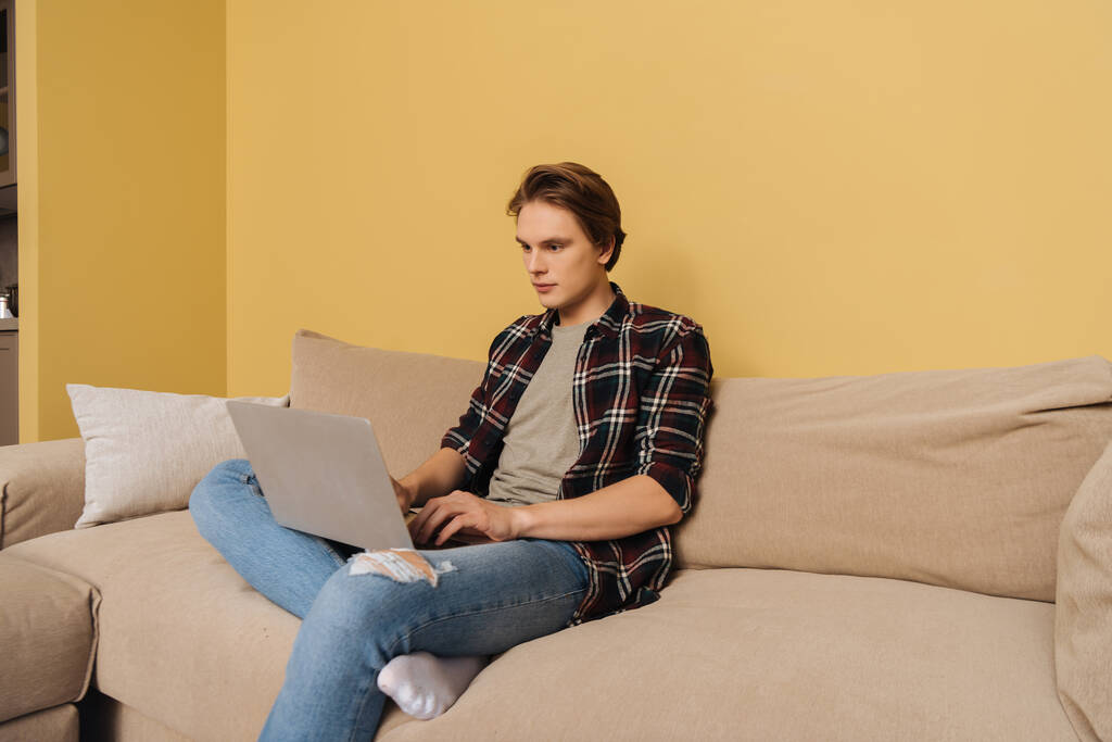 gutaussehende Freiberuflerin sitzt auf Sofa und benutzt Laptop im Wohnzimmer  - Foto, Bild