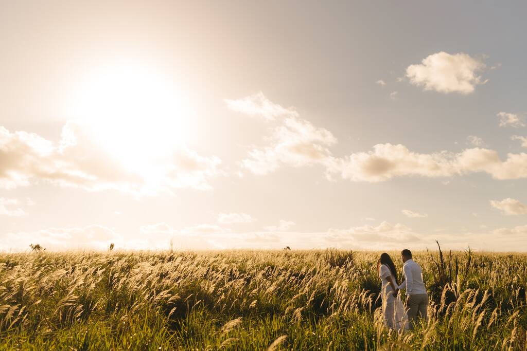 Un macho y una hembra caminando en el prado verde en un día soleado
 - Foto, Imagen
