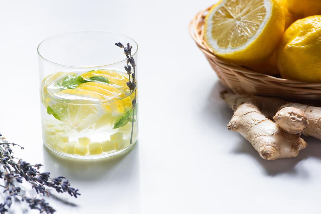 čerstvá zázvorová limonáda ve skle s mátou a levandulovou větví v blízkosti koše citrónů a kořene zázvoru na bílém pozadí - Fotografie, Obrázek