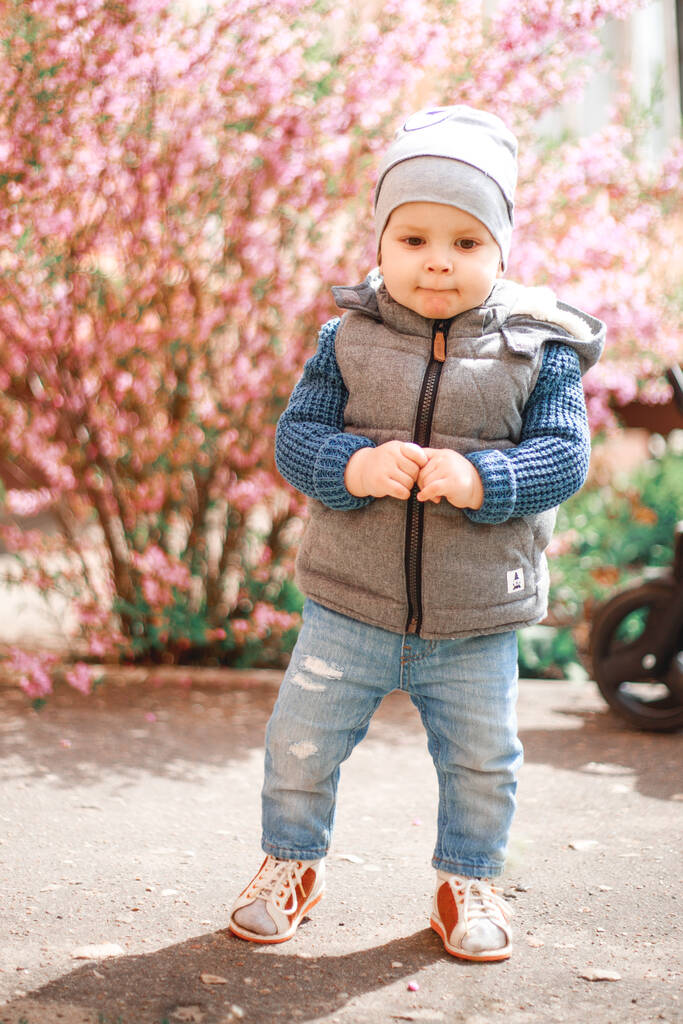 a child dressed in jeans standing near a flowering Bush with pink flowers in spring - Photo, Image