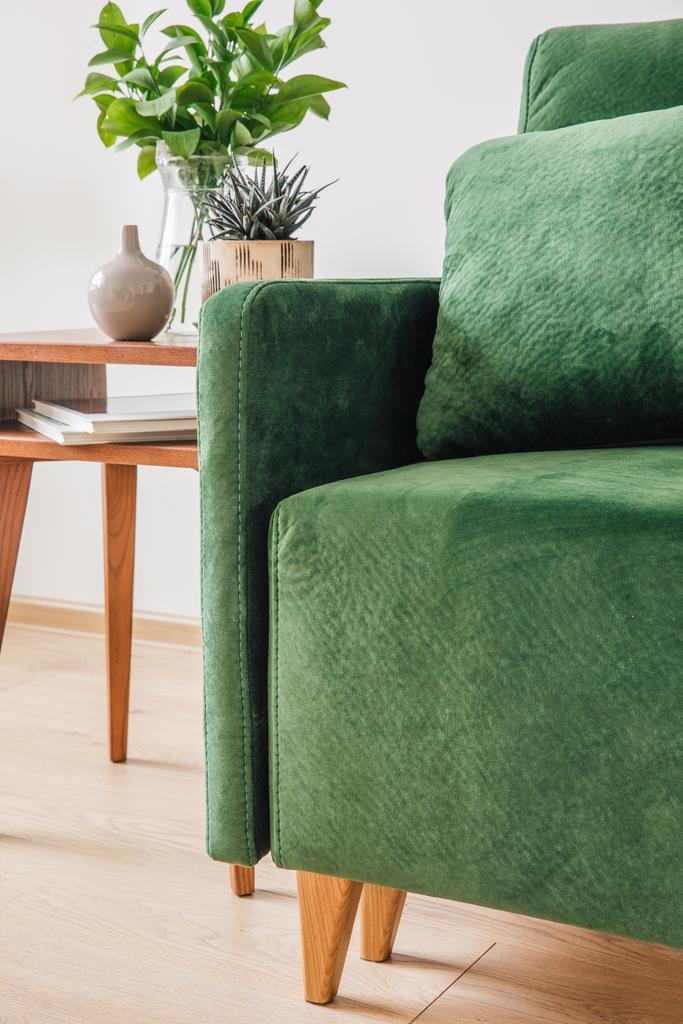 vista ravvicinata del divano verde con cuscino e coperta vicino al tavolino in legno con piante
  - Foto, immagini