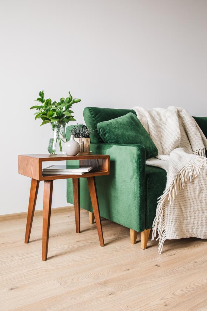 植物と木製のコーヒーテーブルの近くに枕と毛布付きの緑のソファ  - 写真・画像