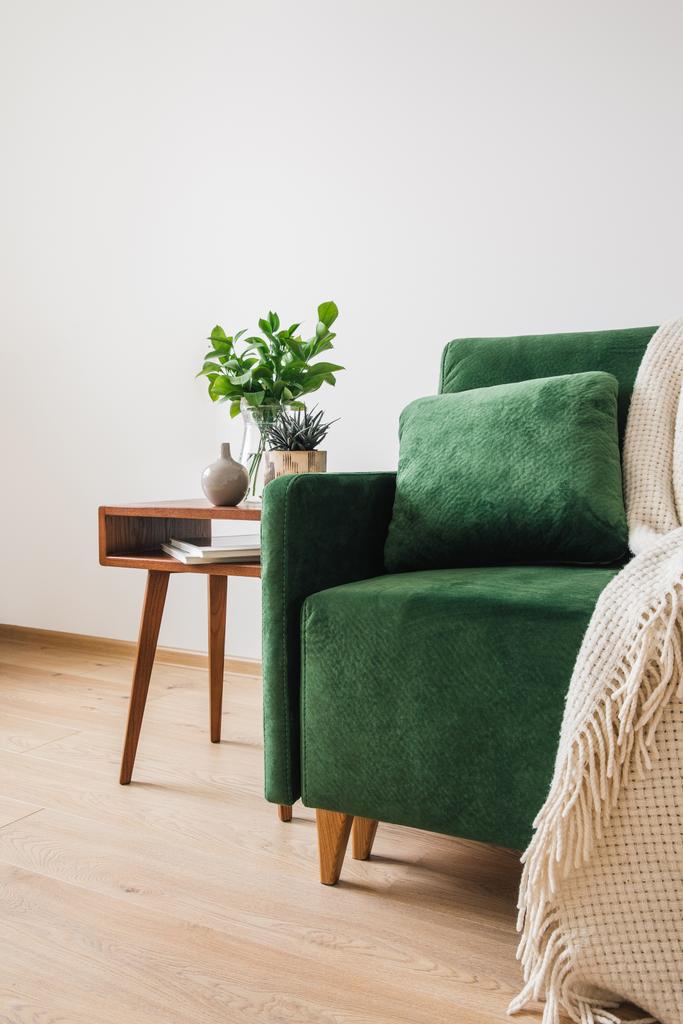 πράσινος καναπές με μαξιλάρι και κουβέρτα κοντά σε ξύλινο τραπεζάκι σαλονιού με φυτά  - Φωτογραφία, εικόνα