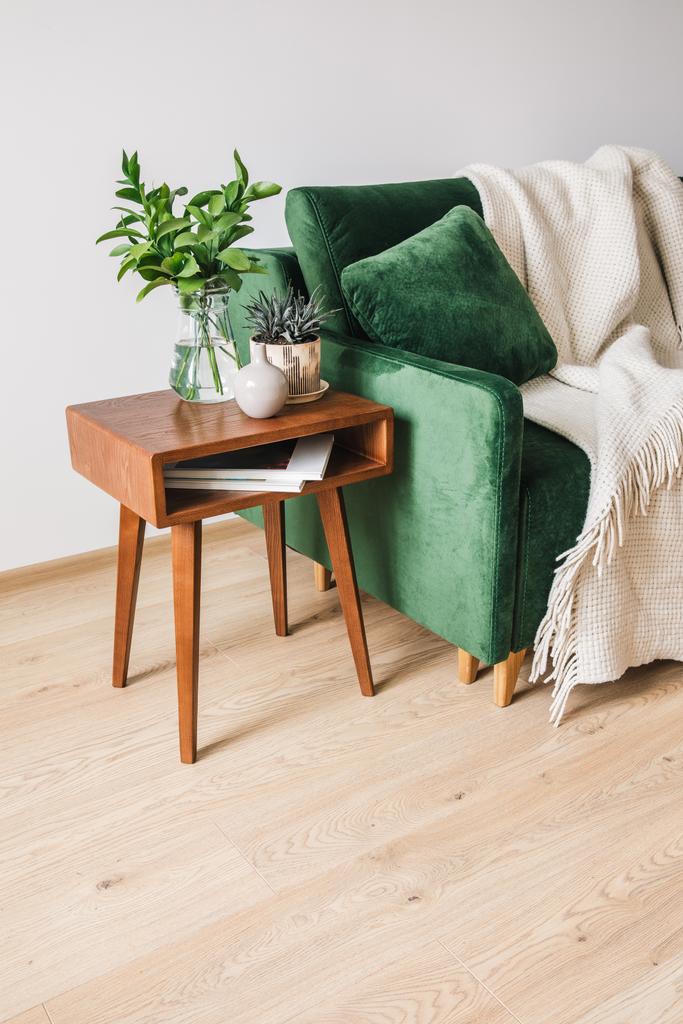 植物と木製のコーヒーテーブルの近くに枕と毛布付きの緑のソファ  - 写真・画像