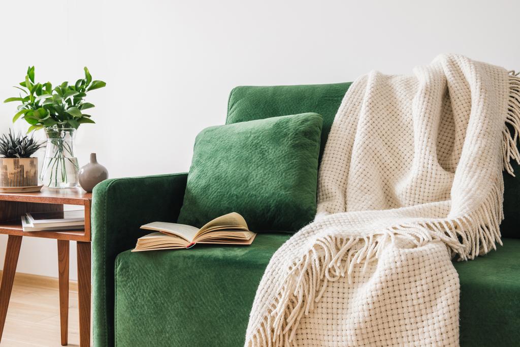 zielona sofa z poduszką, książka i koc w pobliżu drewnianego stolika z roślinami  - Zdjęcie, obraz