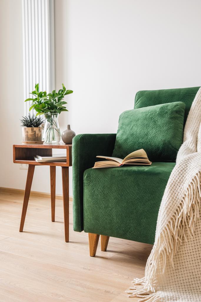 groene bank met kussen, boek en deken bij houten salontafel met planten  - Foto, afbeelding