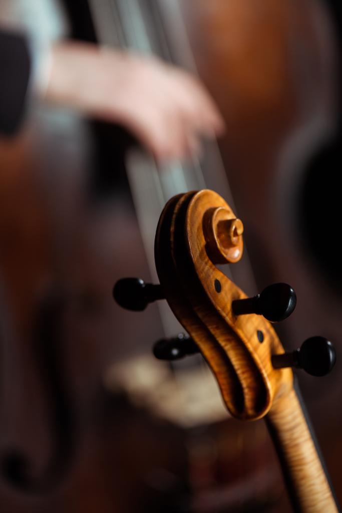 rajattu näkymä ammattimuusikoista soittamassa viulua ja kontrabassoa pimeällä näyttämöllä, valikoiva keskittyminen
 - Valokuva, kuva