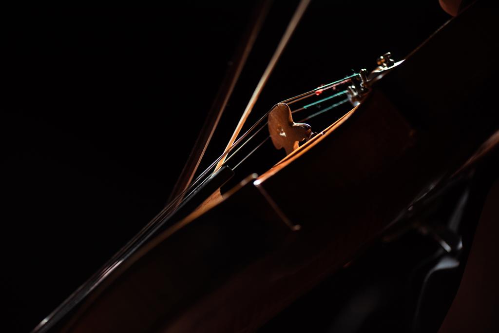 частичный взгляд музыканта, играющего симфонию на скрипке, изолированной на черном
 - Фото, изображение