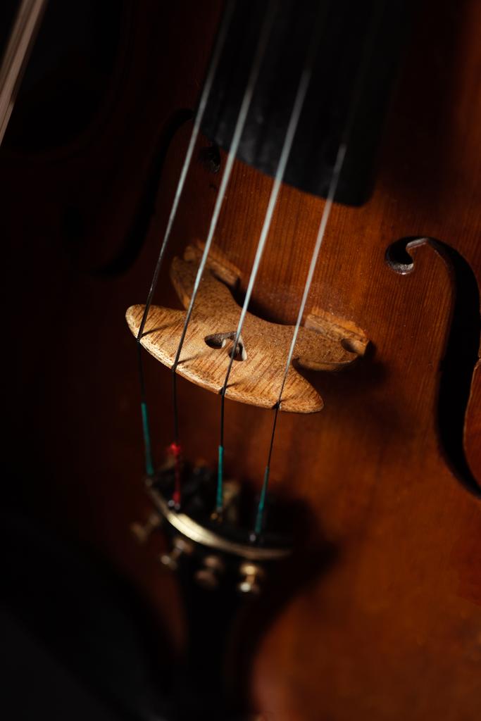 close-up van professionele viool, selectieve focus - Foto, afbeelding