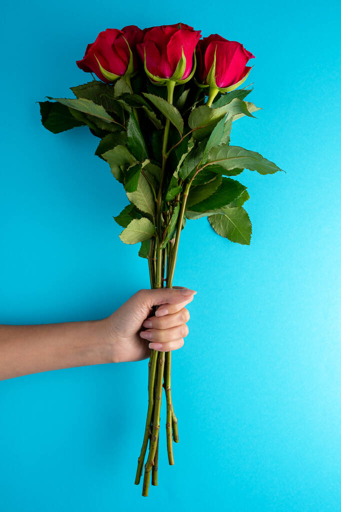 Bouquet of red roses in womans hand on blue background. Greeting card for Valentines Day, Womens Day. Minimal holiday concept. - Photo, Image