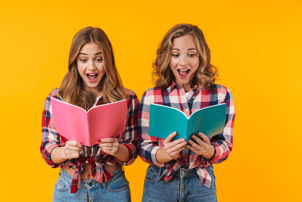 Εικόνα δύο νεαρών όμορφων κοριτσιών που φορούν καρό πουκάμισα χαμογελώντας και κρατώντας βιβλία ημερολογίου απομονωμένα σε κίτρινο φόντο - Φωτογραφία, εικόνα
