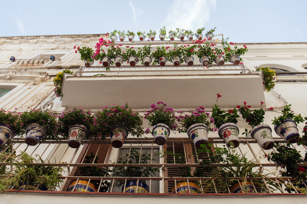 Вид снизу на цветущие цветы на балконе дома в Каталонии, Испания
 - Фото, изображение
