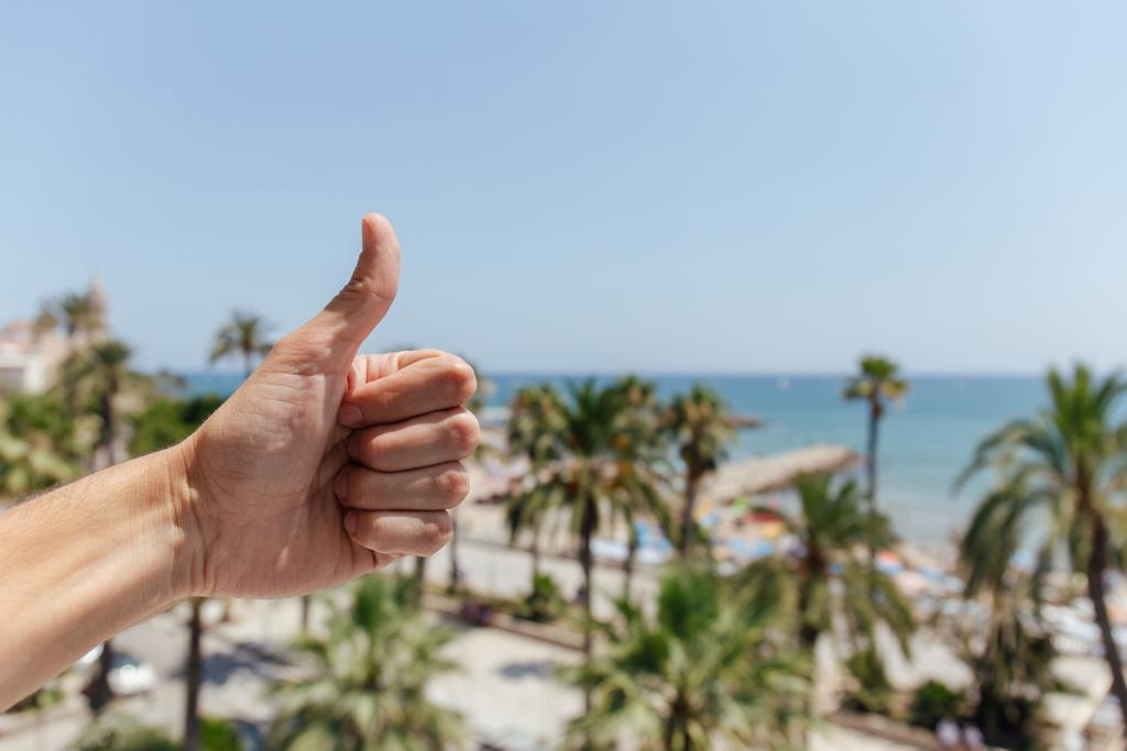 Vista cortada do homem mostrando como gesto com palmeiras e costa marítima ao fundo na Catalunha, Espanha
 - Foto, Imagem