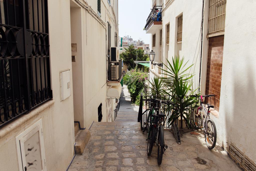Велосипеди та зелені рослини на міській вулиці в Каталонії (Іспанія).  - Фото, зображення