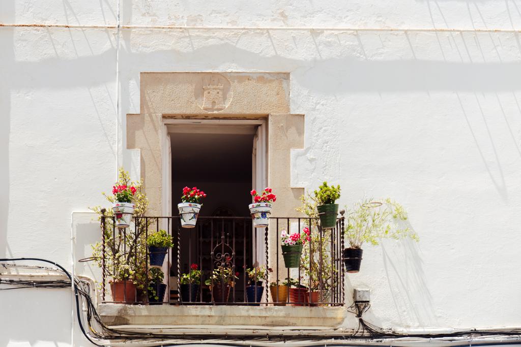 Flores florescendo em vasos na varanda da casa branca na Catalunha, Espanha
  - Foto, Imagem