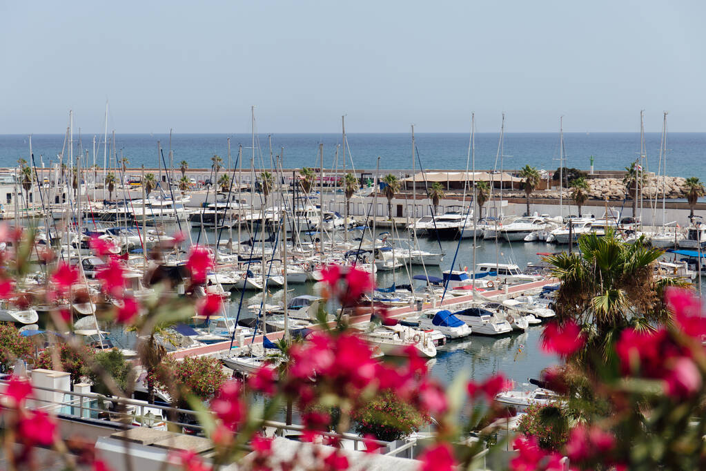КАТАЛОНИЯ, Испания - 30 апреля 2020 года: Выбор яхт вблизи пирса и цветущего завода на морском побережье
  - Фото, изображение