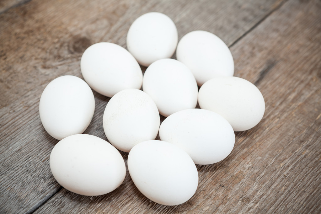 tien witte kippeneieren - Foto, afbeelding