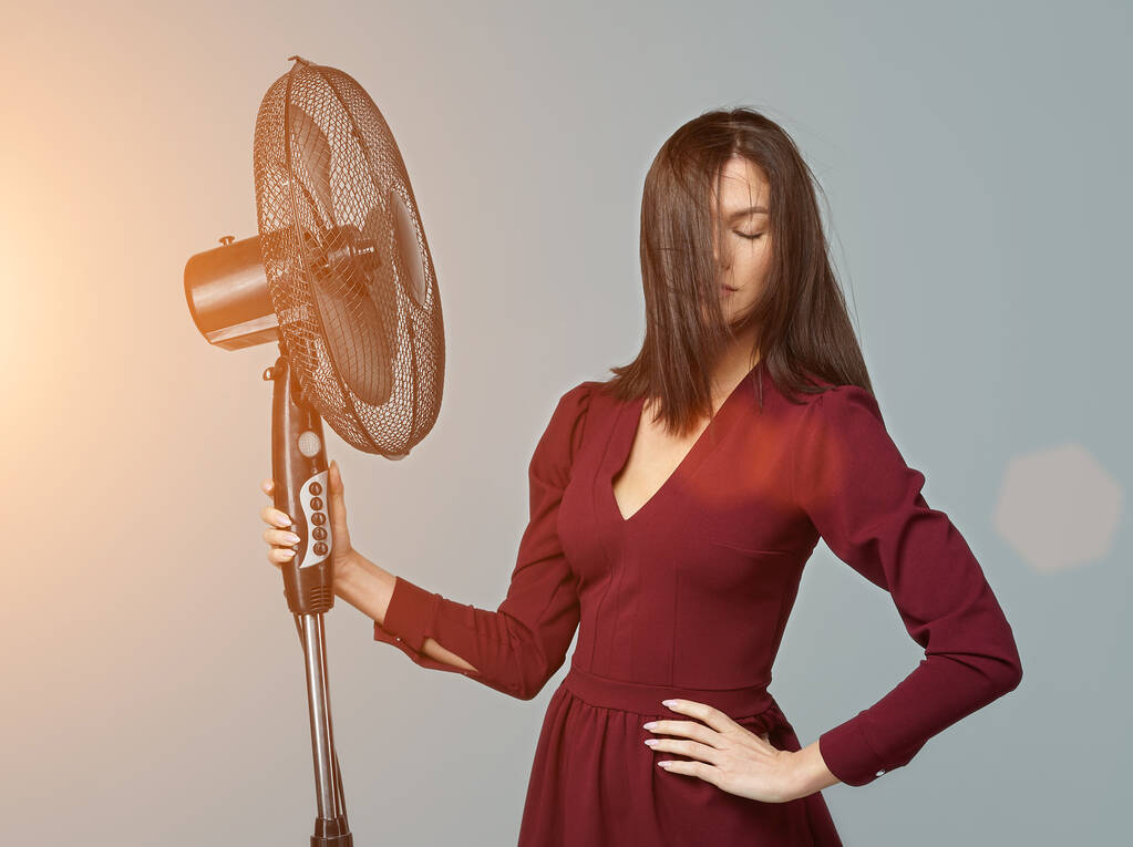 дівчина позує з вентилятором
 - Фото, зображення