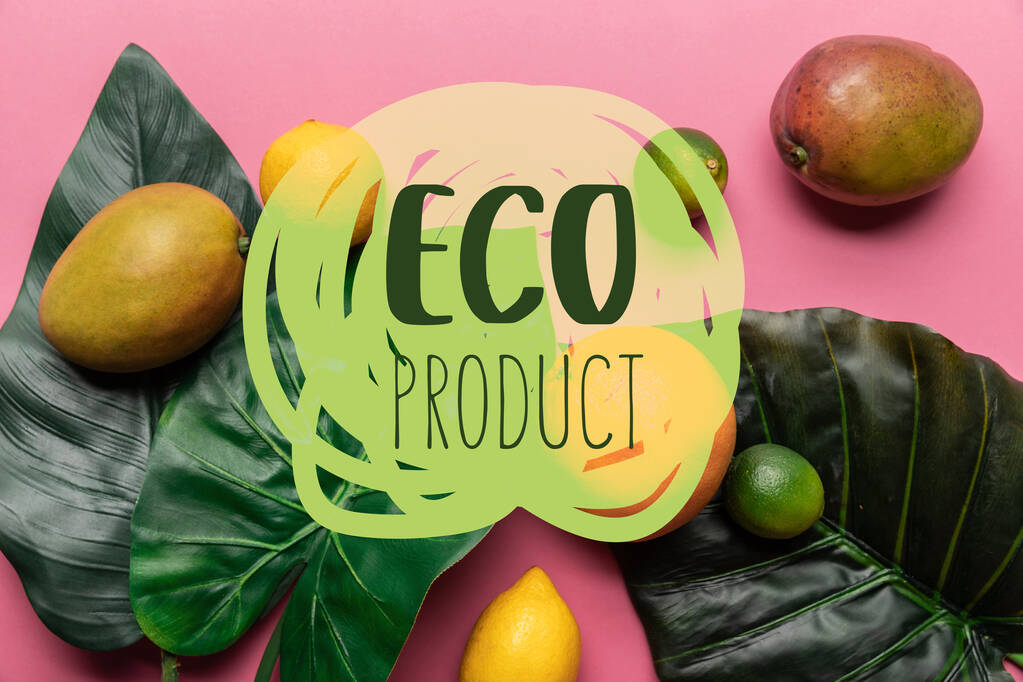 vista dall'alto di agrumi tropicali maturi interi e mango con foglie verdi su sfondo rosa con illustrazione del prodotto ecologico
 - Foto, immagini