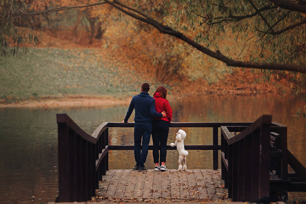 秋に池のそばに立つ若いカップルとプードル犬 - 写真・画像