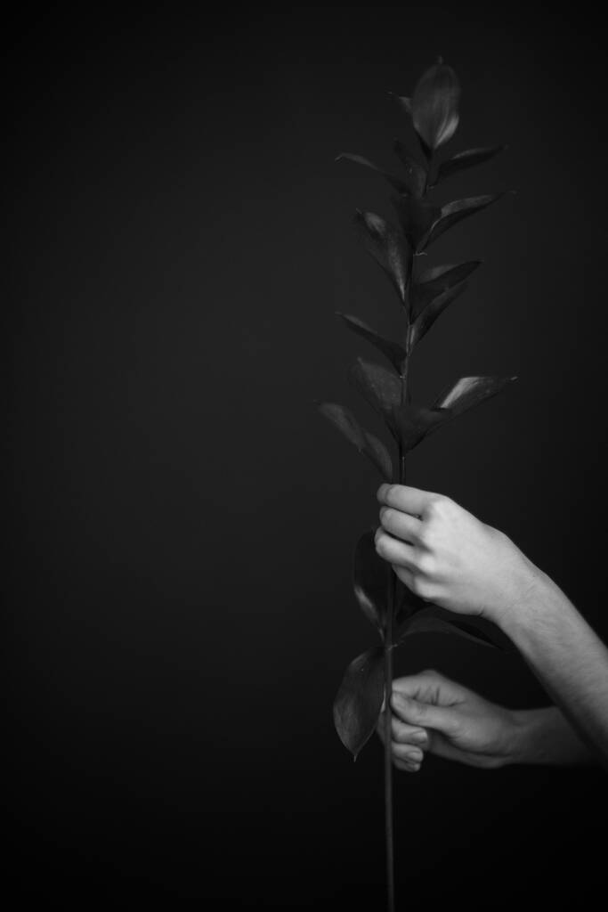 Art noir et blanc mode portrait surréaliste de belle femme, détails du corps portrait noir et blanc de belle fille, mode et art, portrait avec des plantes et des fleurs
 - Photo, image