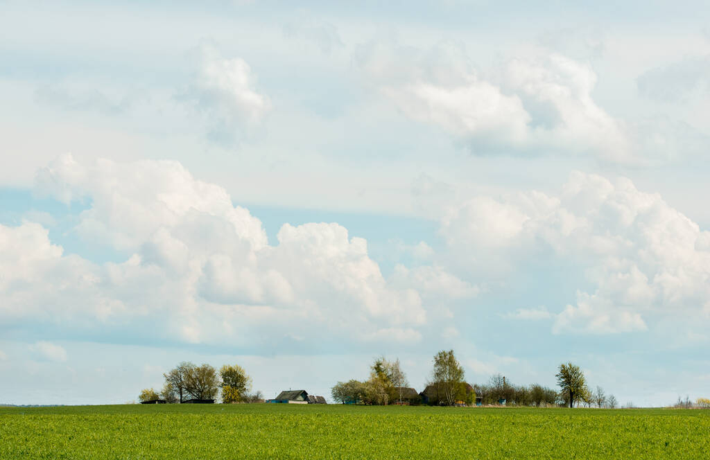 Horizon.Πράσινο πεδίο με όμορφο ζουμερό νεαρό άνοιξη καλοκαίρι πράσινο γρασίδι. Μπλε ουρανός με σύννεφα και ένα χωριό σε απόσταση, ξύλινο σπίτι - Φωτογραφία, εικόνα